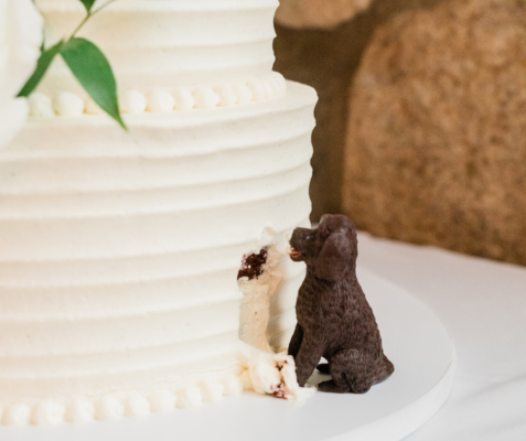 Dog sculpture on your wedding cake- BVTLive!