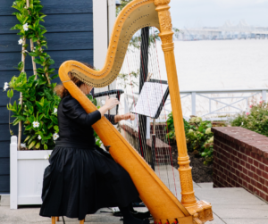Philadelphia Wedding Ceremony Harp by BVTLive! and On It PRoductions
