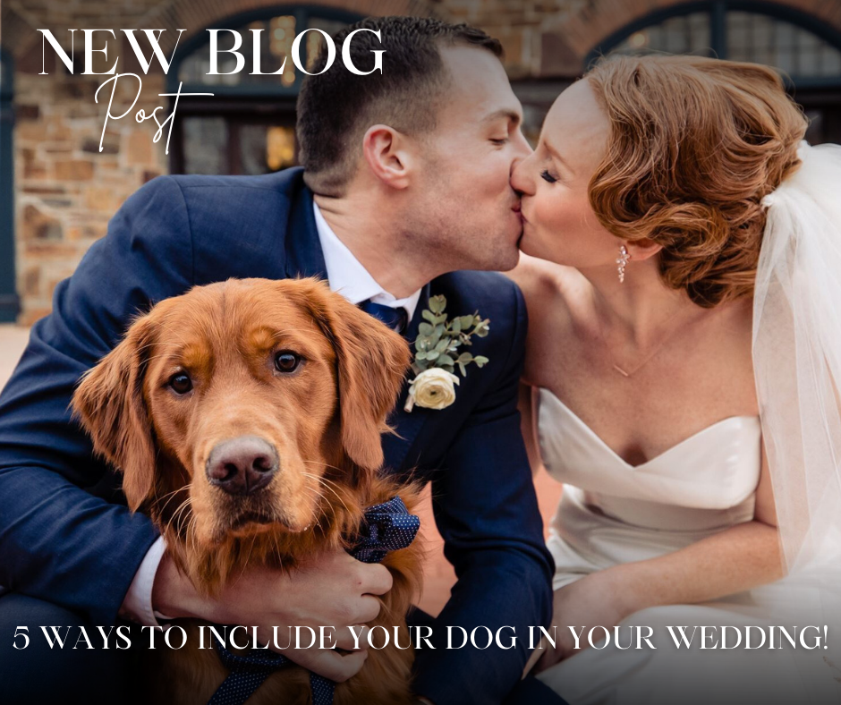 5 ways to include your dog in your wedding