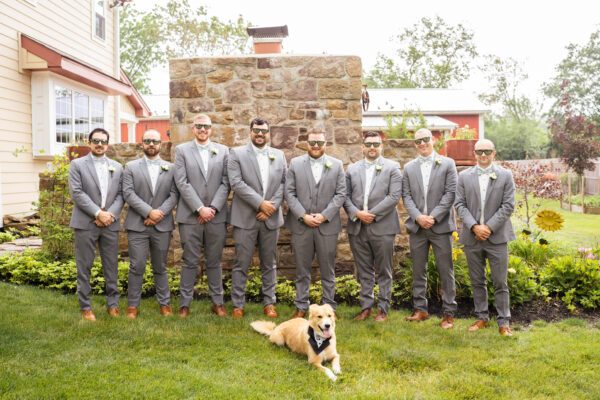 5 ways to include your dog in your wedding by BVTLive! Philadelphia Wedding Bands and Live Entertainment