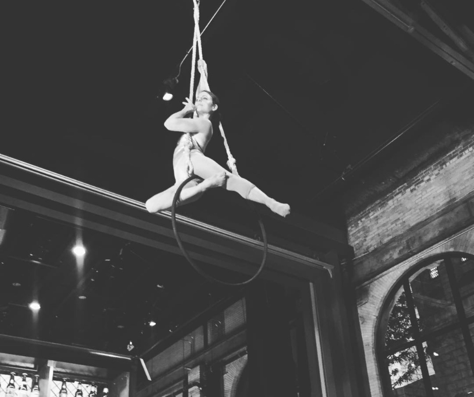 Hanging Lyras Aerialists for Weddings and Events